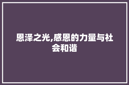 恩泽之光,感恩的力量与社会和谐