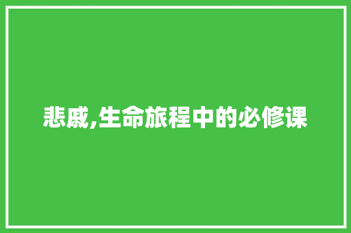 悲戚,生命旅程中的必修课