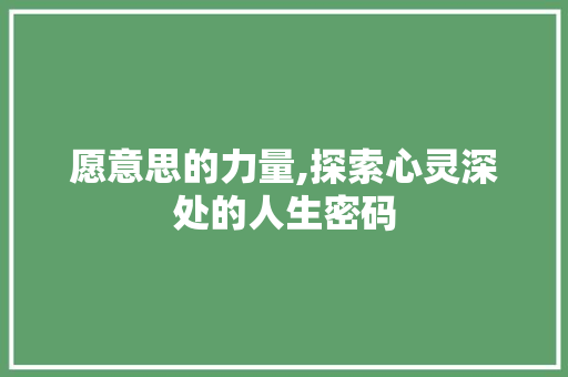 愿意思的力量,探索心灵深处的人生密码
