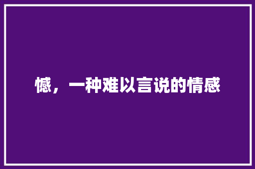 憾，一种难以言说的情感