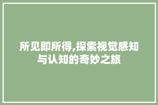 所见即所得,探索视觉感知与认知的奇妙之旅