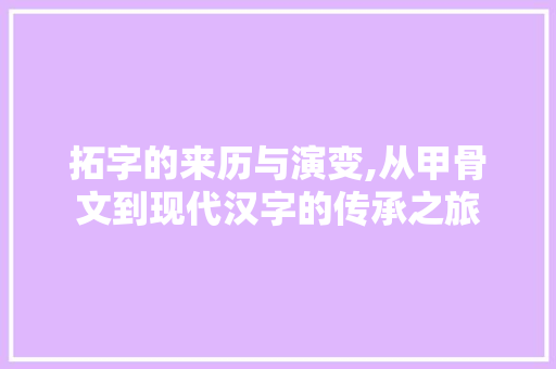 拓字的来历与演变,从甲骨文到现代汉字的传承之旅