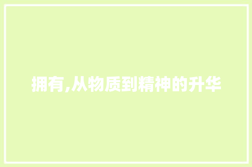 拥有,从物质到精神的升华
