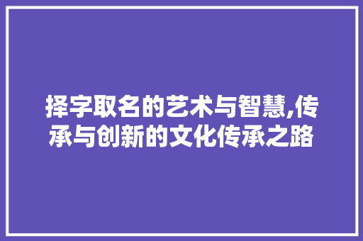 择字取名的艺术与智慧,传承与创新的文化传承之路