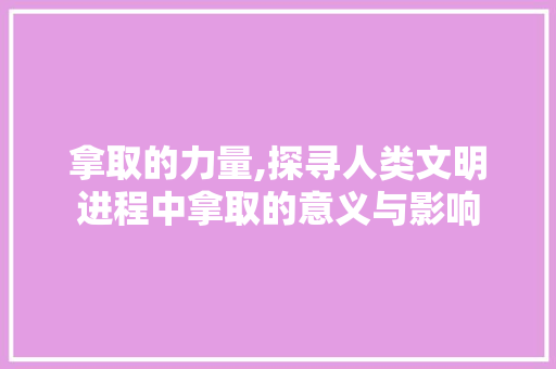 拿取的力量,探寻人类文明进程中拿取的意义与影响