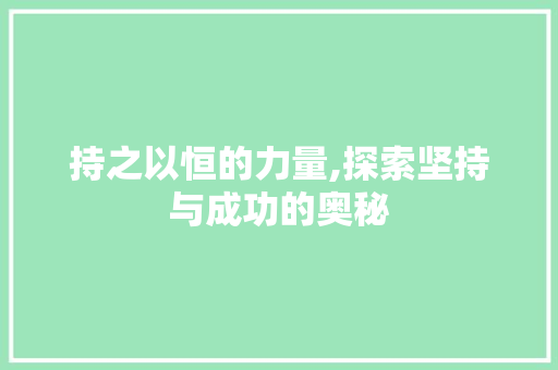 持之以恒的力量,探索坚持与成功的奥秘