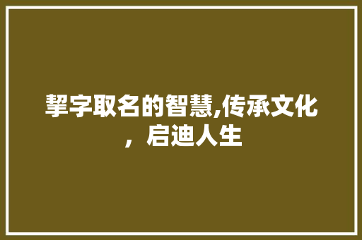 挈字取名的智慧,传承文化，启迪人生 写作技巧