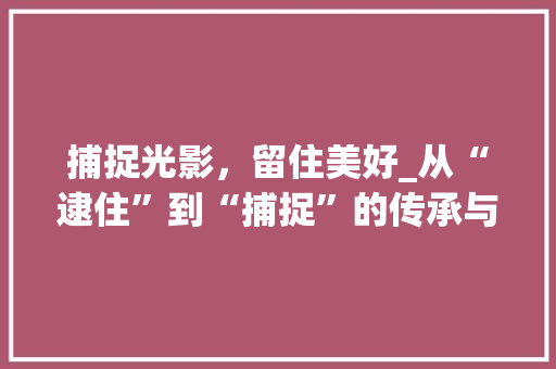 捕捉光影，留住美好_从“逮住”到“捕捉”的传承与发展
