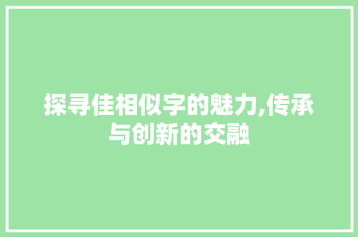 探寻佳相似字的魅力,传承与创新的交融