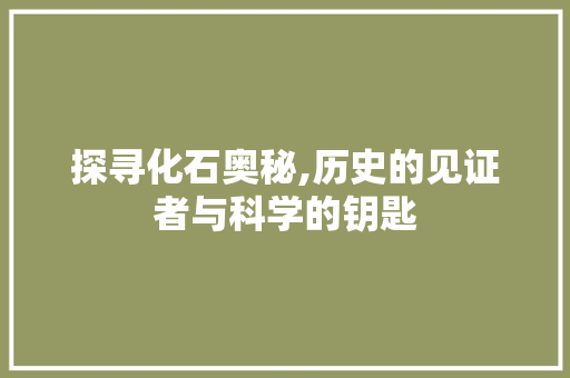 探寻化石奥秘,历史的见证者与科学的钥匙 简历模板