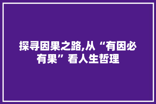探寻因果之路,从“有因必有果”看人生哲理 报告写作