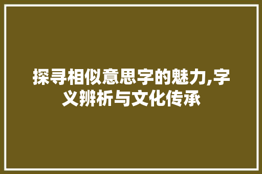 探寻相似意思字的魅力,字义辨析与文化传承