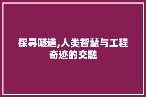 探寻隧道,人类智慧与工程奇迹的交融