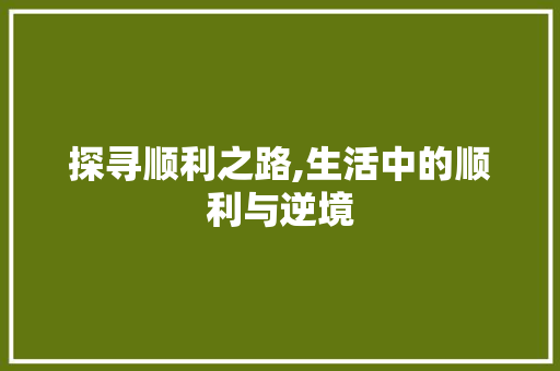 探寻顺利之路,生活中的顺利与逆境