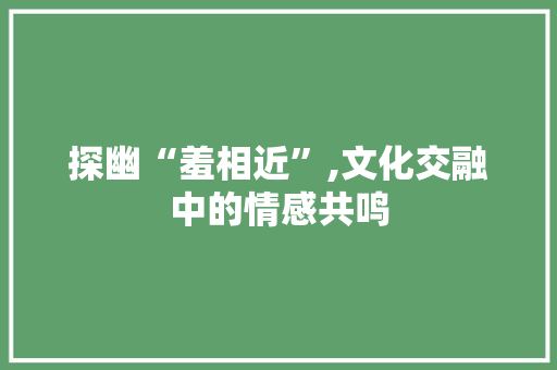 探幽“羞相近”,文化交融中的情感共鸣 报告写作
