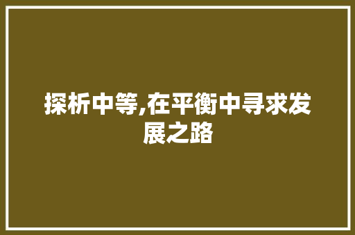 探析中等,在平衡中寻求发展之路 报告写作