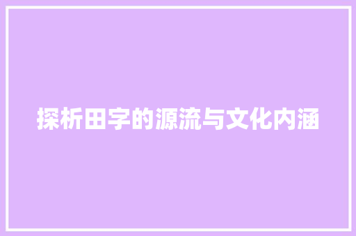 探析田字的源流与文化内涵 写作技巧