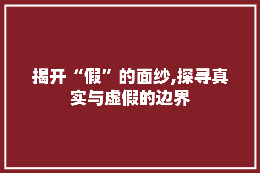 揭开“假”的面纱,探寻真实与虚假的边界 报告写作