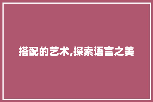 搭配的艺术,探索语言之美