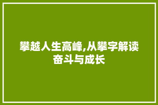 攀越人生高峰,从攀字解读奋斗与成长 范文赏析