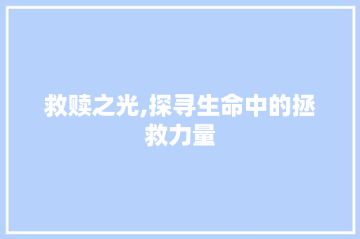救赎之光,探寻生命中的拯救力量 写作技巧