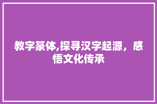教字篆体,探寻汉字起源，感悟文化传承 写作技巧