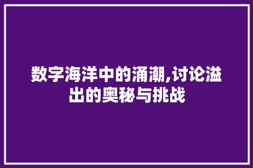 数字海洋中的涌潮,讨论溢出的奥秘与挑战