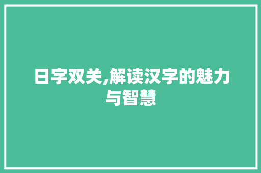 日字双关,解读汉字的魅力与智慧 词汇积累