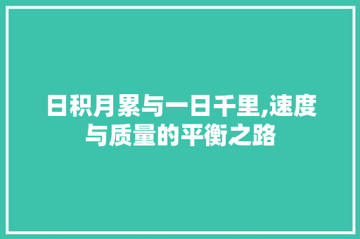 日积月累与一日千里,速度与质量的平衡之路