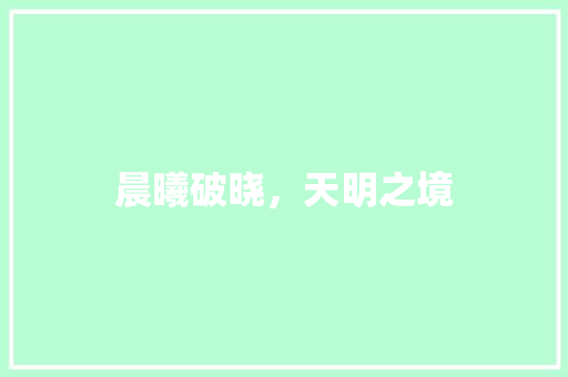 晨曦破晓，天明之境 写作素材