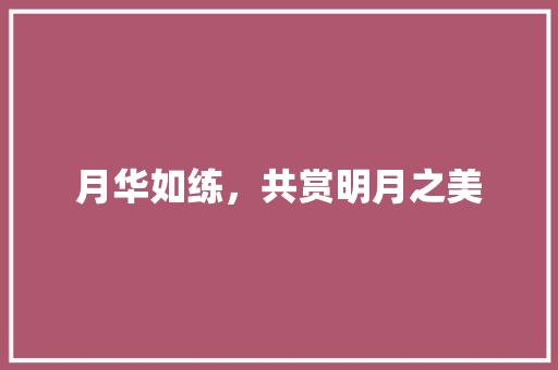 月华如练，共赏明月之美