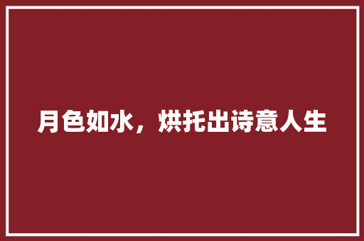月色如水，烘托出诗意人生 范文赏析