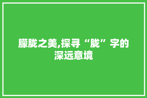 朦胧之美,探寻“胧”字的深远意境