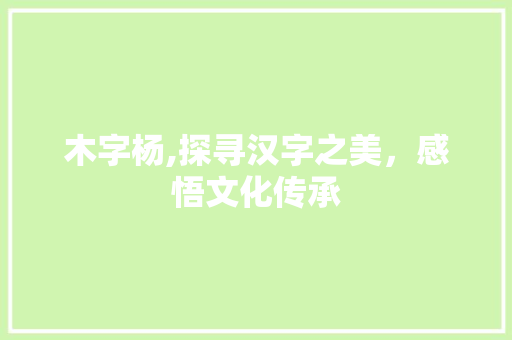 木字杨,探寻汉字之美，感悟文化传承