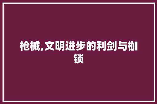 枪械,文明进步的利剑与枷锁