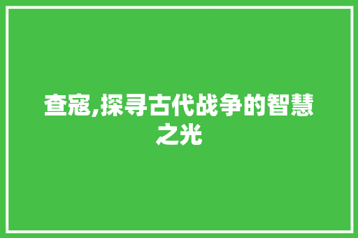 查寇,探寻古代战争的智慧之光 写作技巧