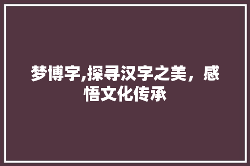 梦博字,探寻汉字之美，感悟文化传承