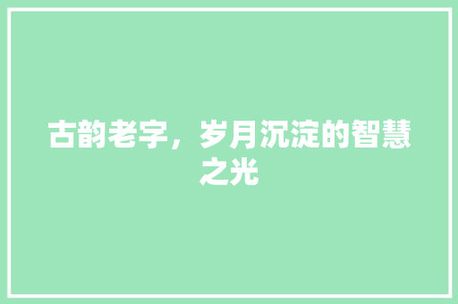 古韵老字，岁月沉淀的智慧之光