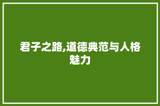 君子之路,道德典范与人格魅力