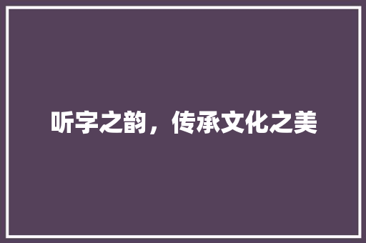 听字之韵，传承文化之美 词汇积累