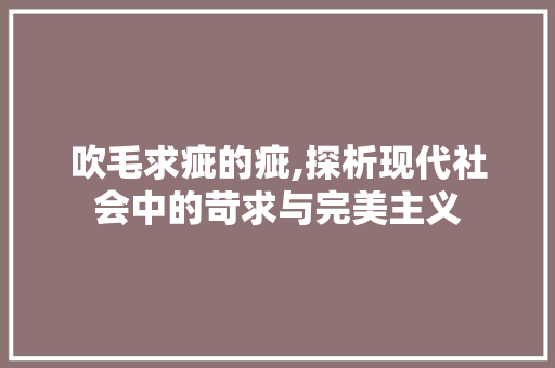 吹毛求疵的疵,探析现代社会中的苛求与完美主义