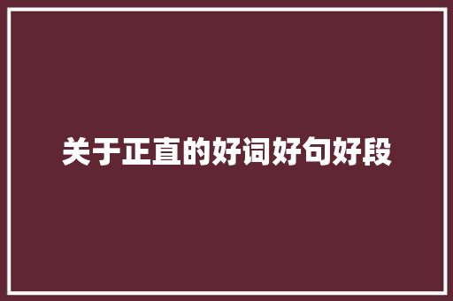 关于正直的好词好句好段