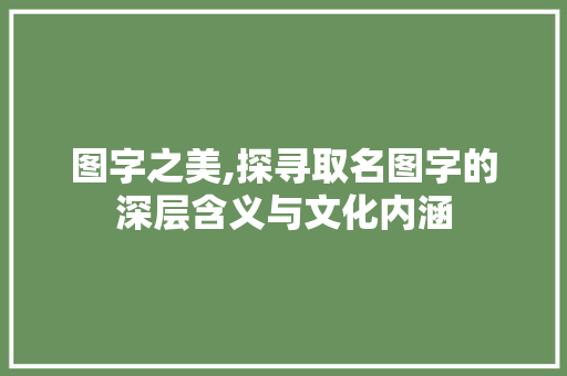 图字之美,探寻取名图字的深层含义与文化内涵