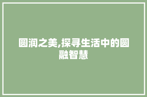 圆润之美,探寻生活中的圆融智慧 商业文案