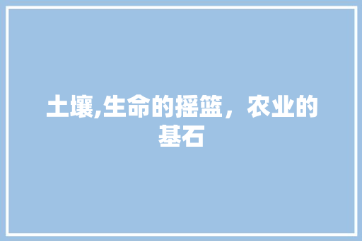 土壤,生命的摇篮，农业的基石