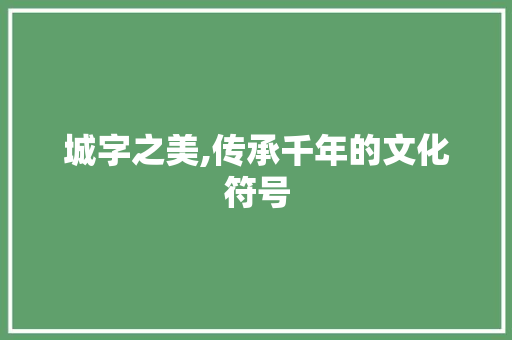 城字之美,传承千年的文化符号