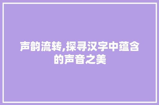 声韵流转,探寻汉字中蕴含的声音之美 商业文案