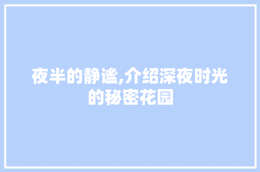 夜半的静谧,介绍深夜时光的秘密花园