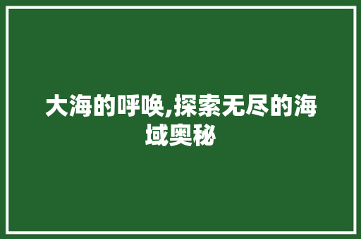 大海的呼唤,探索无尽的海域奥秘 范文赏析