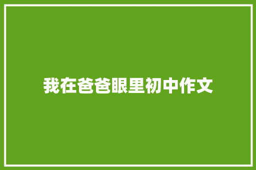 我在爸爸眼里初中作文